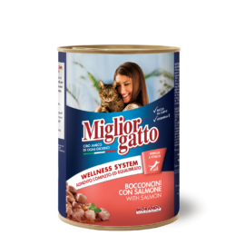 TROZOS CON SALMÓN